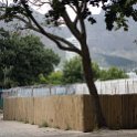ZAF WC CapeTown 2016NOV13 017  Looks like they don't want you climbing the fences. : Africa, Cape Town, South Africa, Western Cape, Southern, 2016 - African Adventures, 2016, November, The Company Garden